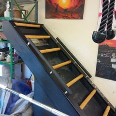 Jacobs Ladder exercise machine