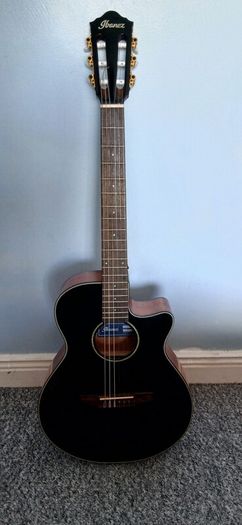 Ibanez AEG50N nylon acoustic