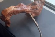 Antique French Burlwood Corkscrew