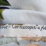 Fothergay Screen Printed Fabric "Cornucopia" Image 3