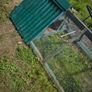 chicken coop Image 2