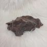 large black chalcedony specimen Image 5