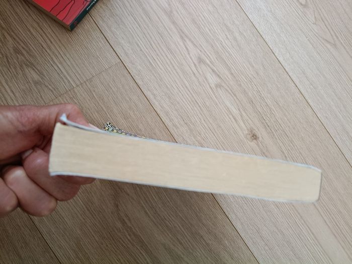 The lost letters to the twelve prophets 2022 by John Goldengay in good condition with some signs of wear and some writing on the inside page FREE STANDARD POSTAGE INCLUDED