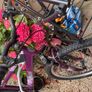 Bike Image 2