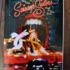 We Are Scissor Sisters and so Are You DVD