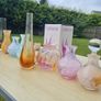 Scottish Glass Collection - Caithness Image 6