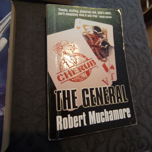 Robert Muchamore novels job lot