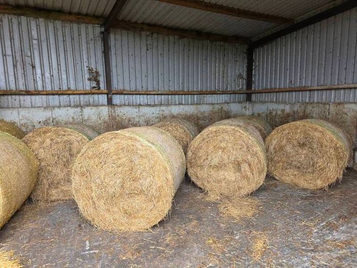Hay Bales