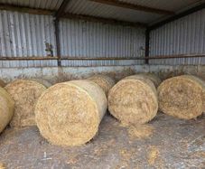 Hay Bales