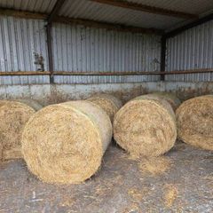 Hay Bales