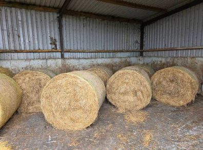 Hay Bales