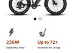 Rad Power Electric bike