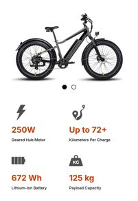 Rad Power Electric bike