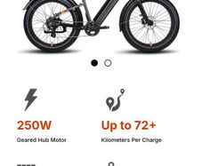 Rad Power Electric bike