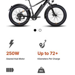 Rad Power Electric bike