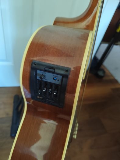 Fretless Bass guitar