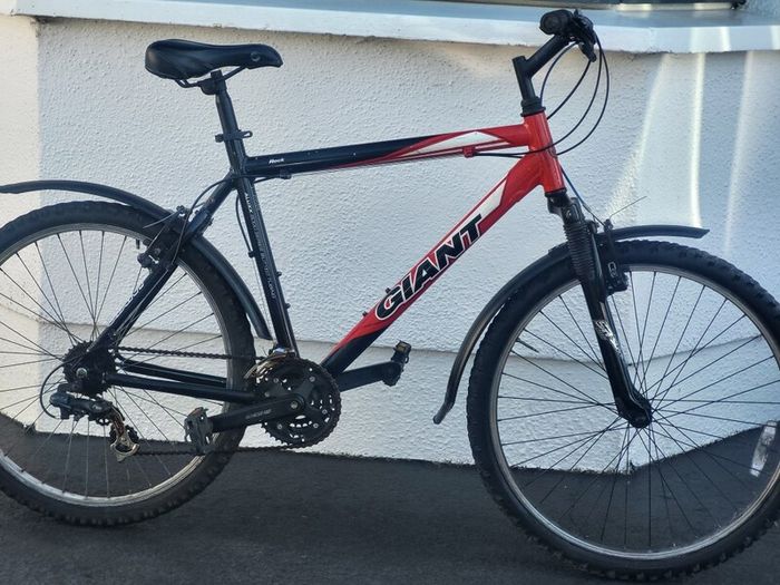 Giant Rock Large Bike
