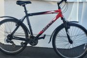 Giant Rock Large Bike