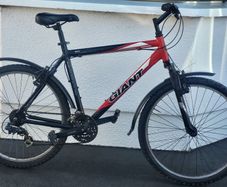 Giant Rock Large Bike