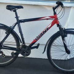 Giant Rock Large Bike