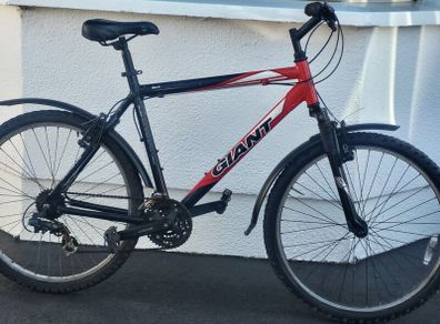 Giant Rock Large Bike