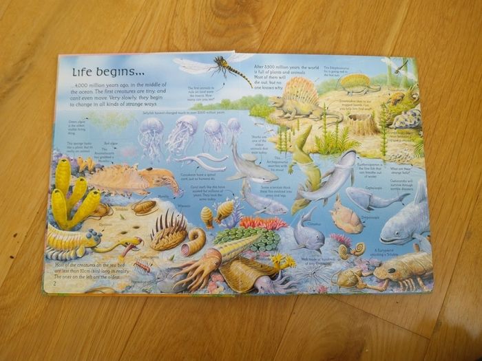 See Inside The World Of Dinosaurs An Usborne Flap Book