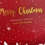 New Tipperary Crystal Christmas Decorations Image 2
