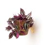 Brass Wall Plant Hanger - 2 different sizes Priced Individually Image 7