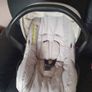oyster 2 buggy Image 2