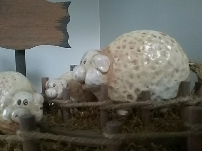 Three Pigs in a Pen