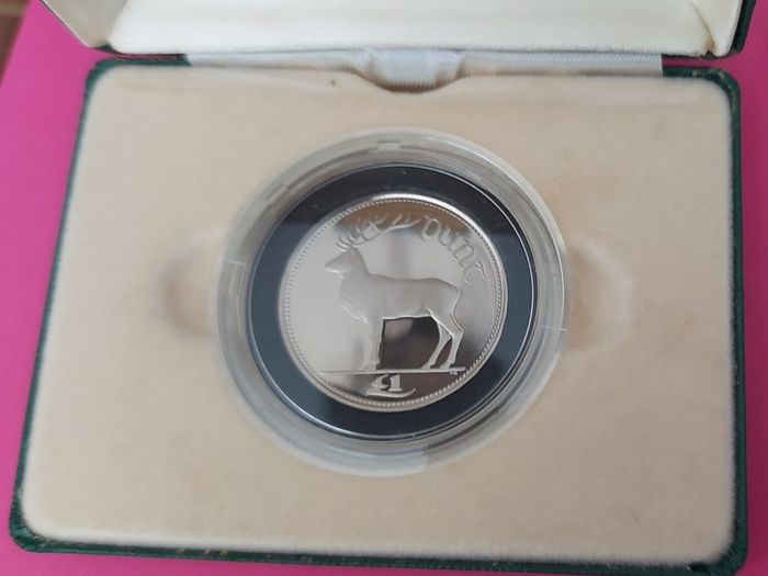 Ireland 1990 Proof One Pound Coin