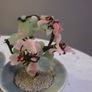 Two Jade Bonsai Trees Image 5