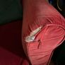 TETRAD feather filled velvet couch Image 4