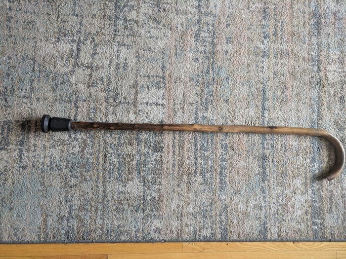 Walking stick