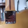 Fender Player Plus Nashville Image 4