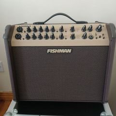 Fishman Loudbox Artist and Thon Flight case