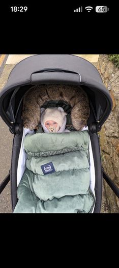 Cybex Platinum Pram Stroller (Frame & Seat)
