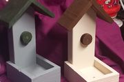 Bird feeders And Bitd houses
