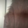 gilet brown suede effect gilet size 12 Image 5
