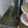 Filter Socks Box/Holder for Sump Image 3
