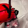 Taekwondo gear Image 2