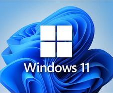 Windows 11 Pro - Multi-language Genuine Licence Keys