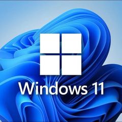 Windows 11 Pro - Multi-language Genuine Licence Keys