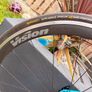 Giant TCR. Image 2