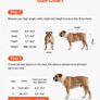 Wheelchair for Back Legs, Adjustable 2 Wheels Pet Wheelchair Image 2