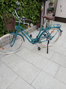 ladys bike