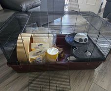 hamster cage