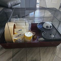 hamster cage