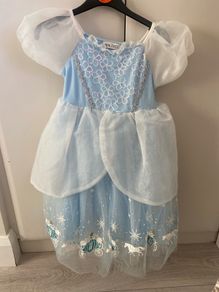 Cinderella Costume