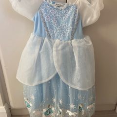 Cinderella Costume